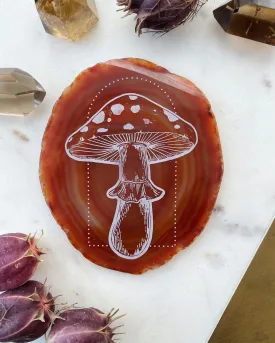 "Amanita" Mystical Mushroom Agate Slices