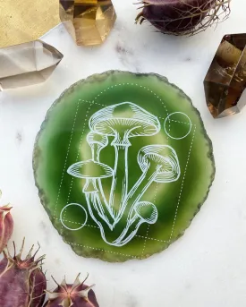 "Golden Cap" Mystical Mushroom Agate Slices